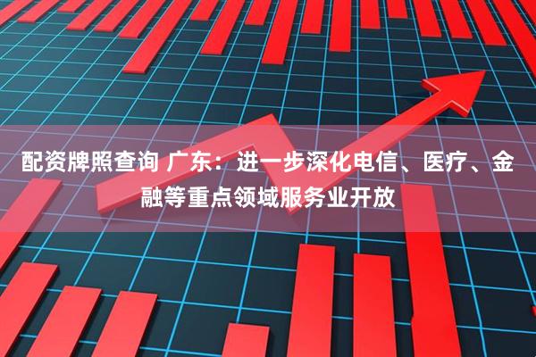 配资牌照查询 广东：进一步深化电信、医疗、金融等重点领域服务业开放