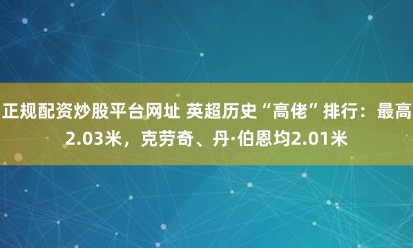 正规配资炒股平台网址 英超历史“高佬”排行:最高2.03米,克劳奇、丹·伯恩均2.01米