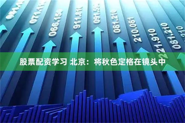 股票配资学习 北京：将秋色定格在镜头中