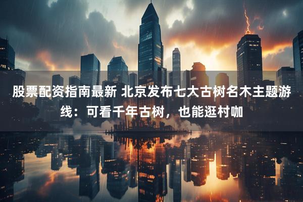 股票配资指南最新 北京发布七大古树名木主题游线：可看千年古树，也能逛村咖